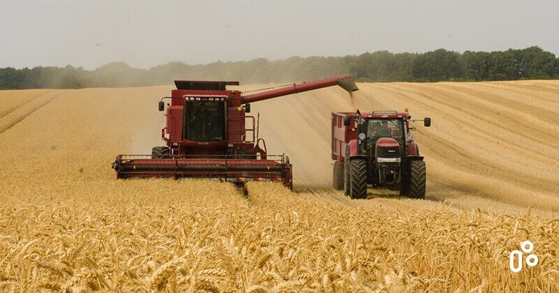 Aziende Agricole Intelligenti ovvero Come l'Automazione Migliora l'Agricoltura